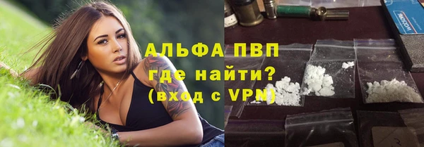 спиды Богданович