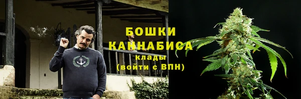спиды Богданович