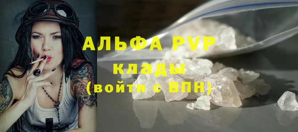 спиды Богданович
