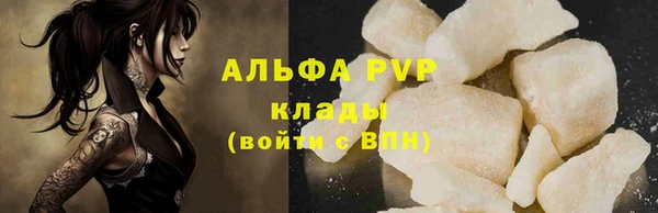 спиды Богданович