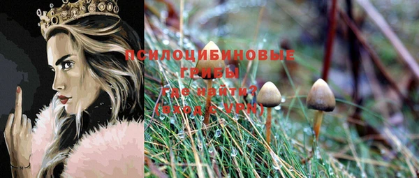 соль курить ск Богородск