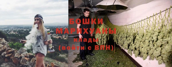 спиды Богданович