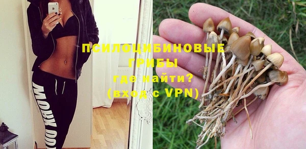 соль курить ск Богородск