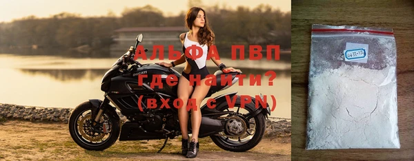 спиды Богданович