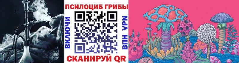 это клад  Корсаков  Псилоцибиновые грибы GOLDEN TEACHER  наркошоп 